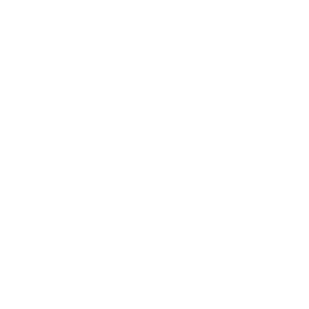 Digimaq