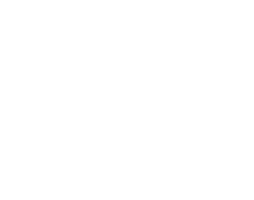 LAUT