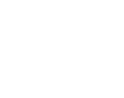 PEMI